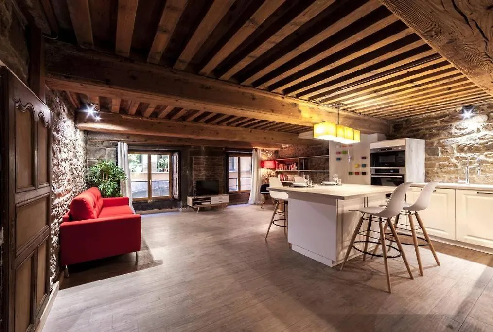Apartamento La Grotte De La Baleine Du Vieux Lyon Ail