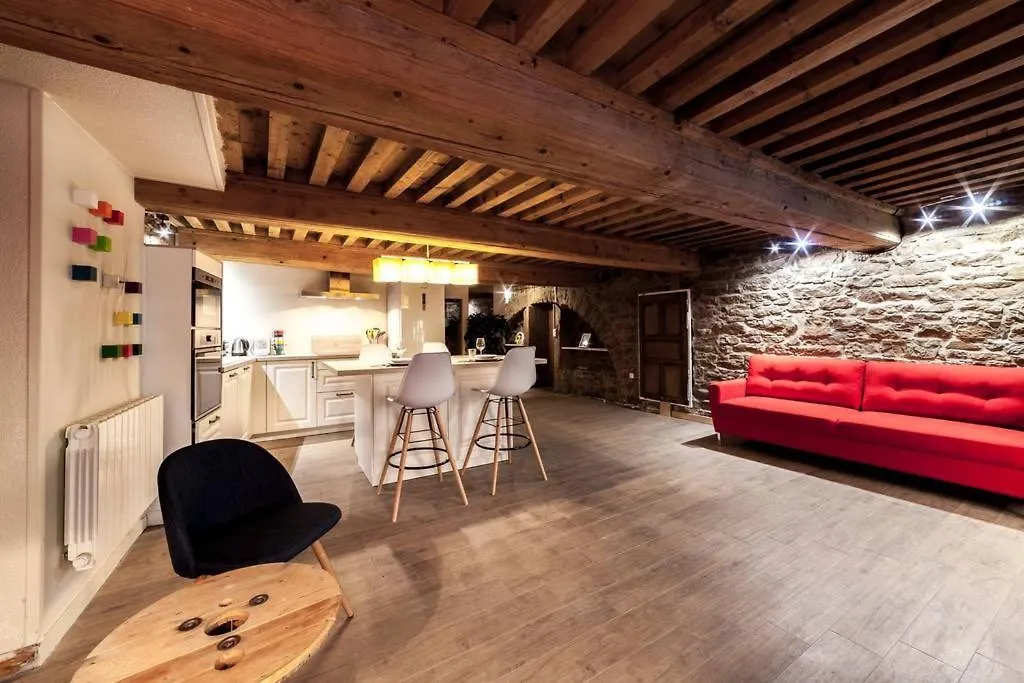 Apartamento La Grotte De La Baleine Du Vieux Lyon Ail